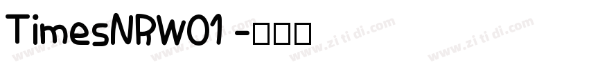 TimesNRW01 字体转换